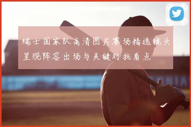 瑞士国家队高清图片赛场精选镜头呈现阵容出场与关键对抗看点