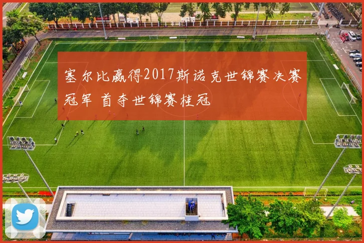 塞尔比赢得2017斯诺克世锦赛决赛冠军 首夺世锦赛桂冠