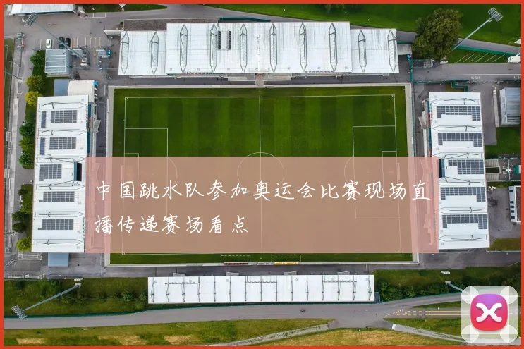 中国跳水队参加奥运会比赛现场直播传递赛场看点