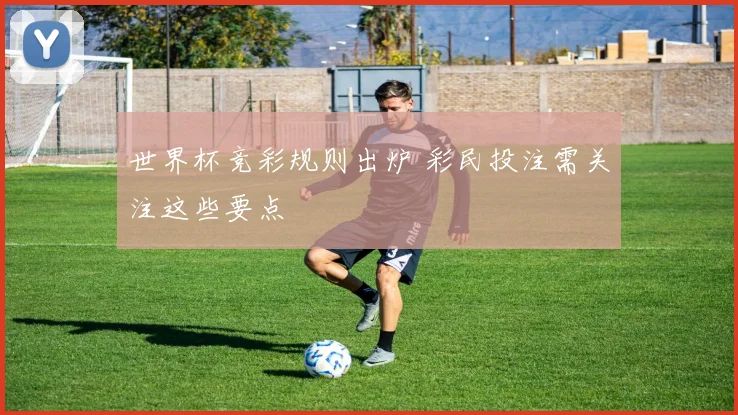世界杯竞彩规则出炉 彩民投注需关注这些要点
