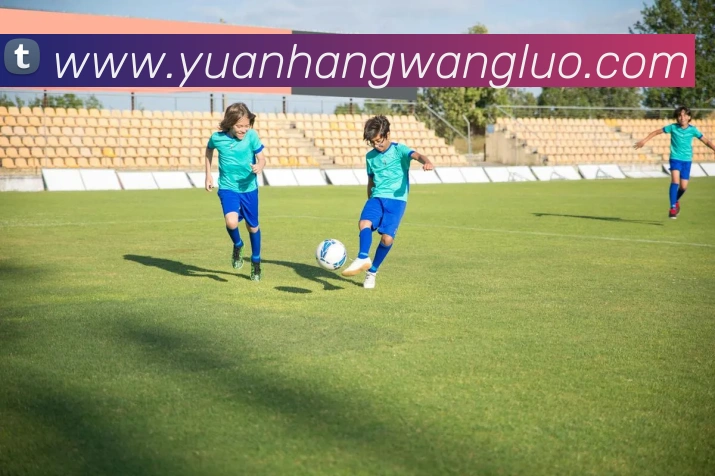 leyu乐鱼官方官网发展历程